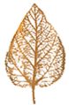 Leaf Logo | The Refinery | Refined Italian Cuisine in Pittston PA