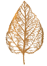 Leaf Logo | The Refinery | Refined Italian Cuisine in Pittston PA